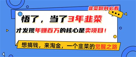 （10759期）悟了，当了3年韭菜，才发现网赚圈年赚100万的核心是卖项目，含泪分享！-营销武器库