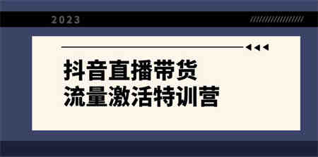 抖音直播带货-流量激活特训营，入行新手小白主播必学（21节课+资料）-营销武器库