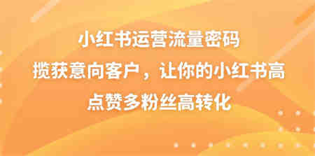 小红书运营流量密码，揽获意向客户，让你的小红书高点赞多粉丝高转化-营销武器库