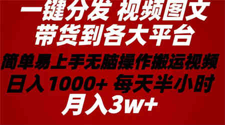 （10667期）2024年 一键分发带货图文视频  简单易上手 无脑赚收益 每天半小时日入1…-营销武器库