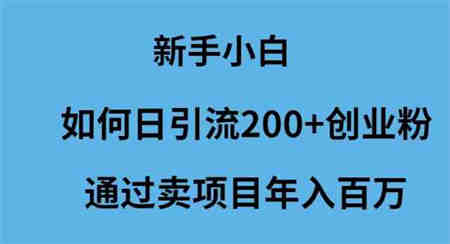 （9668期）新手小白如何日引流200+创业粉通过卖项目年入百万-营销武器库