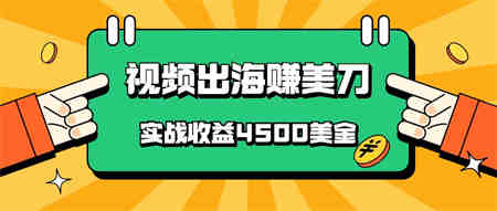 国内爆款视频出海赚美刀，实战收益4500美金，批量无脑搬运，无需经验直接上手-营销武器库