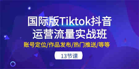 国际版Tiktok抖音运营流量实战班：账号定位/作品发布/热门推送/等等（13节）-营销武器库