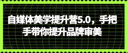 自媒体美学提升营5.0，手把手带你提升品牌审美-营销武器库