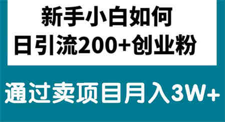 （10843期）新手小白日引流200+创业粉,通过卖项目月入3W+-营销武器库