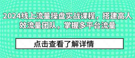 2024线上流量操盘实战课程，搭建高人效流量团队，掌握多平台流量-营销武器库