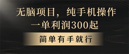 （10699期）无脑项目，一单几百块，轻松月入5w+，看完就能直接操作-营销武器库