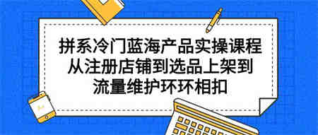 （9527期）拼系冷门蓝海产品实操课程，从注册店铺到选品上架到流量维护环环相扣-营销武器库