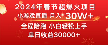 龙年2024过年期间，最爆火的项目 抓住机会 普通小白如何逆袭一个月收益30W+-营销武器库