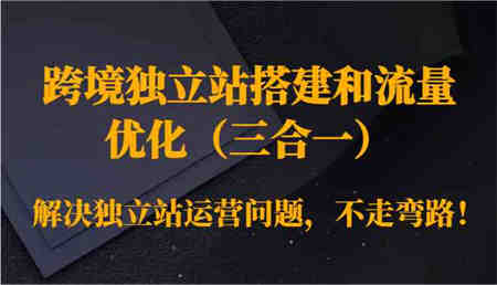 跨境独立站搭建和流量优化（三合一）解决独立站运营问题，不走弯路！-营销武器库