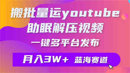 （9727期）批量搬运YouTube解压助眠视频 一键多平台发布 月入2W+-营销武器库