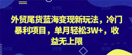 外贸尾货蓝海变现新玩法，冷门暴利项目，单月轻松3W+，收益无上限-营销武器库