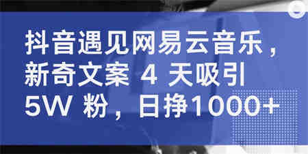 抖音遇见网易云音乐，新奇文案 4 天吸引 5W 粉，日挣1000+-营销武器库