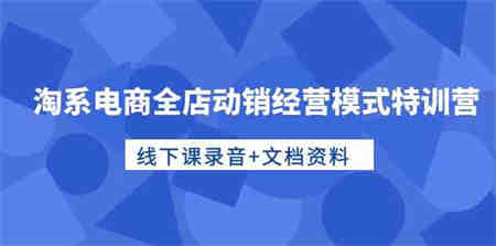 淘系电商全店动销经营模式特训营，线下课录音+文档资料-营销武器库