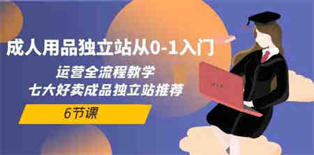 （10082期）成人用品独立站从0-1入门，运营全流程教学，七大好卖成品独立站推荐-6节课-营销武器库