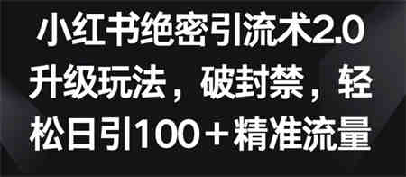 小红书绝密引流术2.0升级玩法，破封禁，轻松日引100+精准流量-营销武器库