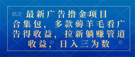 最新广告撸金项目合集包，多款薅羊毛看广告收益 拉新管道收益，日入三为数-营销武器库