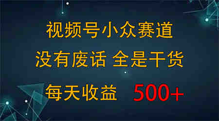 2024视频号新手攻略，今日话题赛道带你日赚300+-营销武器库