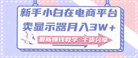 新手小白如何做到在电商平台卖显示器月入3W，最新赚钱教学干货-营销武器库