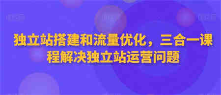 独立站搭建和流量优化，三合一课程解决独立站运营问题-营销武器库