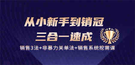 从小新手到销冠 三合一速成：销售3法+非暴力关单法+销售系统挖需课 (27节)-营销武器库