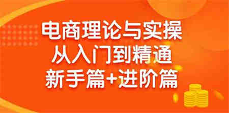 （9576期）电商理论与实操从入门到精通 新手篇+进阶篇-营销武器库