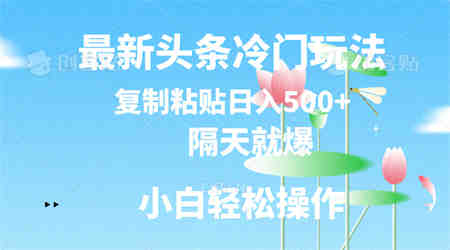 最新头条冷门玩法，隔天就爆，复制粘贴日入500+-营销武器库