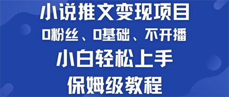 小说推文变现项目 0基础 不开播 小白轻松上手 保姆级教程-营销武器库