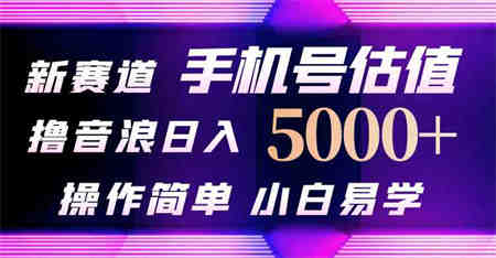 （10154期）抖音不出境直播【手机号估值】最新撸音浪，日入5000+，简单易学，适合…-营销武器库