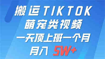 （9931期）一键搬运TIKTOK萌宠类视频 一部手机即可操作 所有平台均可发布 轻松月入5W+-营销武器库