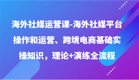 海外社媒运营课-海外社媒平台操作和运营、跨境电商基础实操知识，理论+演练全流程-营销武器库