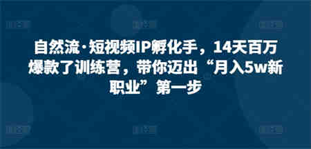 自然流·短视频IP孵化手，14天百万爆款了训练营，带你迈出“月入5w新职业”第一步-营销武器库