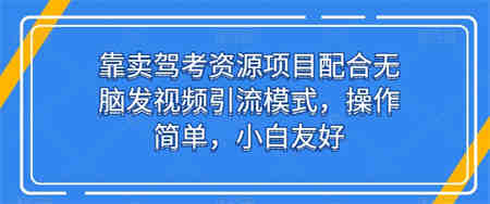 靠卖驾考资源项目配合无脑发视频引流模式，操作简单，小白友好-营销武器库