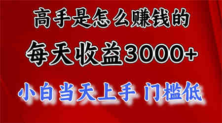 （10436期）高手是怎么赚钱的，一天收益3000+ 这是穷人逆风翻盘的一个项目，非常稳…-营销武器库