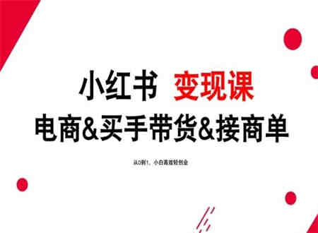 2024年最新小红书变现课，电商&买手带货&接商单，从0到1，小白高效轻创业-营销武器库