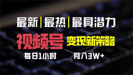 视频号变现新策略，每日一小时月入30000+-营销武器库