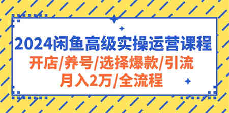 （10711期）2024闲鱼高级实操运营课程：开店/养号/选择爆款/引流/月入2万/全流程-营销武器库