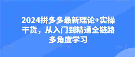 2024拼多多最新理论+实操干货，从入门到精通全链路多角度学习-营销武器库