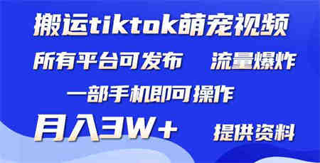 （9618期）搬运Tiktok萌宠类视频，一部手机即可。所有短视频平台均可操作，月入3W+-营销武器库