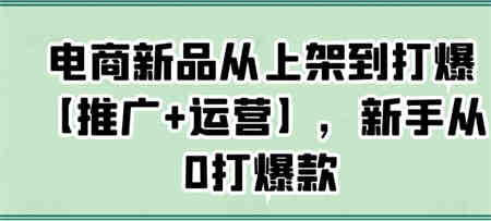 电商新品从上架到打爆【推广+运营】，新手从0打爆款-营销武器库