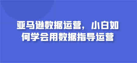 亚马逊数据运营，小白如何学会用数据指导运营-营销武器库