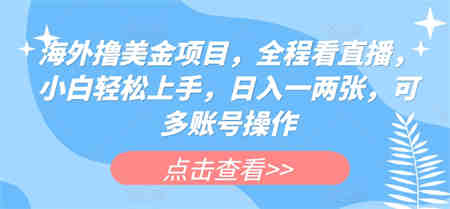 海外撸美金项目，全程看直播，小白轻松上手，日入一两张，可多账号操作-营销武器库