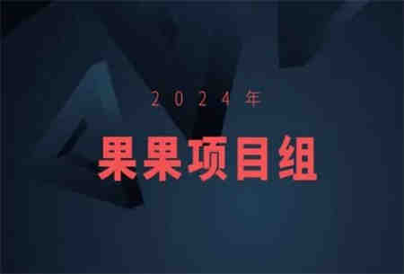 2024年果果项目组项目合集-果果最新项目-营销武器库