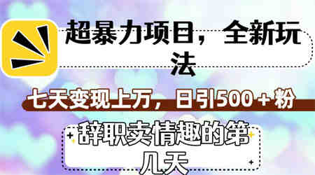 超暴利项目，全新玩法（辞职卖情趣的第几天），七天变现上万，日引500+粉-营销武器库