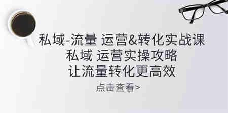 （10739期）私域-流量 运营&转化实操课：私域 运营实操攻略 让流量转化更高效-营销武器库