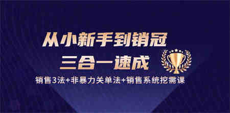 （10799期）从小新手到销冠 三合一速成：销售3法+非暴力关单法+销售系统挖需课 (27节)-营销武器库