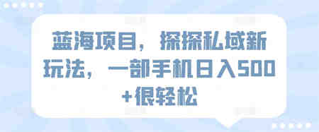 蓝海项目，探探私域新玩法，一部手机日入500+很轻松-营销武器库