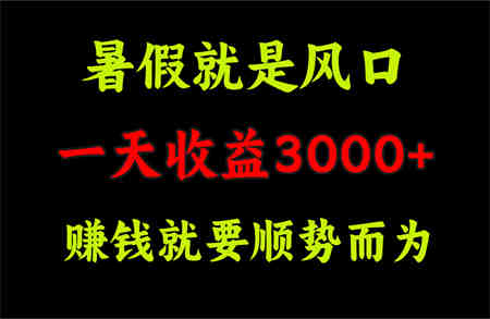 一天收益3000+ 赚钱就是顺势而为，暑假就是风口-营销武器库