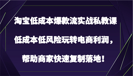 淘宝低成本爆款流实战私教课，低成本低风险玩转电商利润，帮助商家快速复制落地！-营销武器库