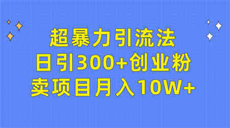 （9954期）超暴力引流法，日引300+创业粉，卖项目月入10W+-营销武器库